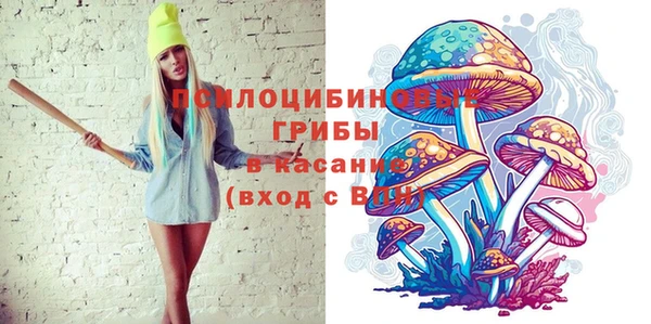 соль ск Сосновка