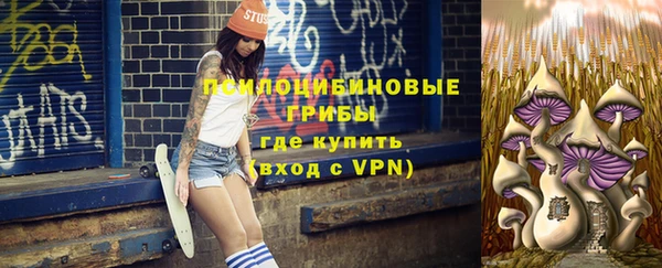 мдпв Сосновоборск