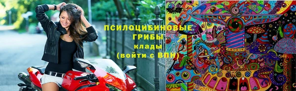 кокс Вяземский