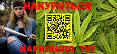 шишки Гатчина