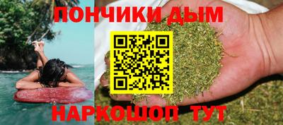 шишки Гатчина