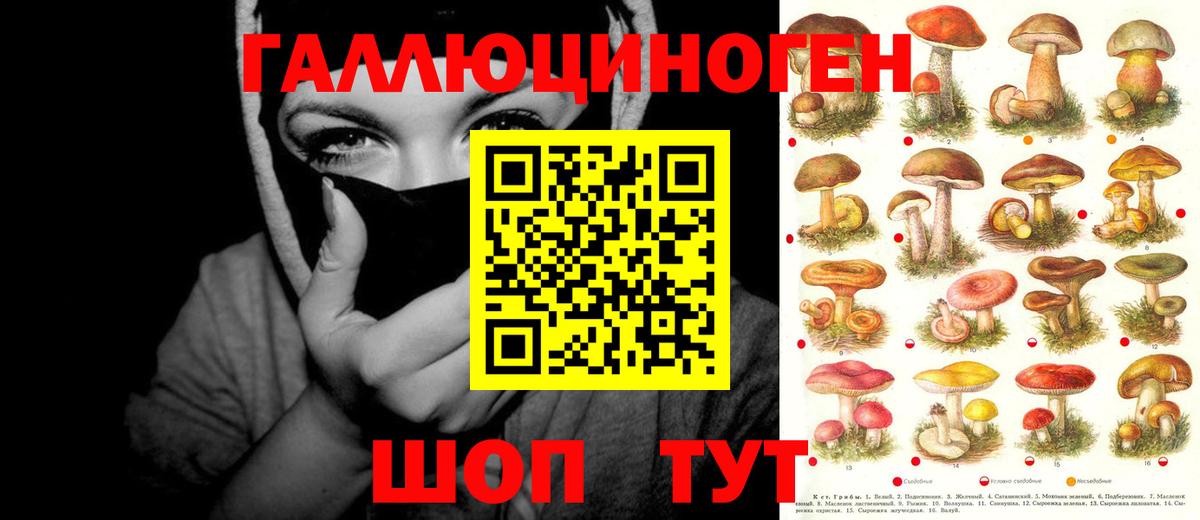 Галлюциногенные грибы мицелий  Вход с VPN  Псилоцибиновые грибы MAGIC MUSHROOMS  Усолье-Сибирское 